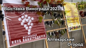 Выставка винограда в "Аптекарском огороде"  МГУ
 Москва 2023 год