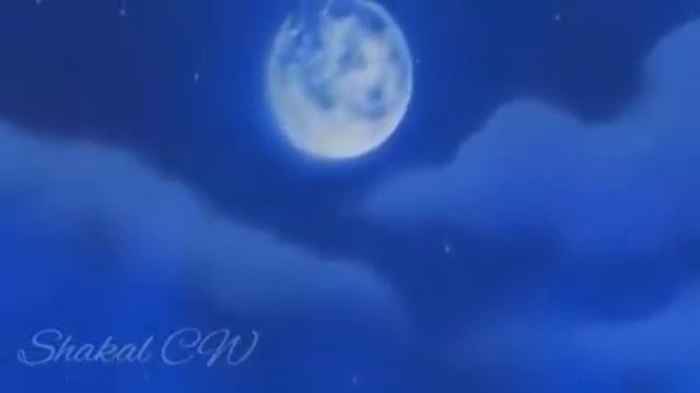 коты воители {Крутобок и Серебрянка} ~[кукушка]