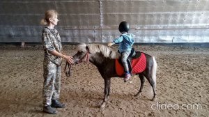 Федерация конного спорта (г. Ишим) занятие АВЕ по программе  "Развитие речи"