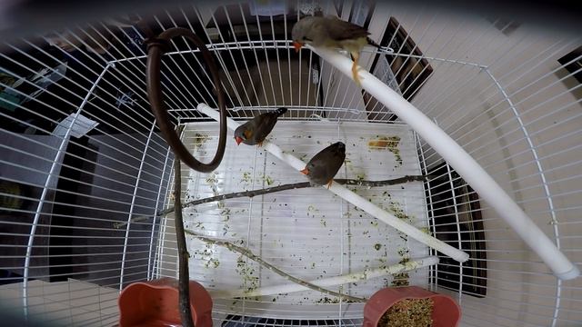 СЪЕМКИ, АЛЁША И ФЕСТИВАЛЬ КРАСОК