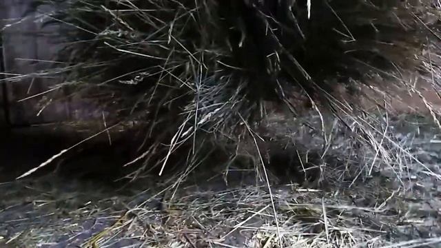 Самая экономная кормушка для сена кроликам