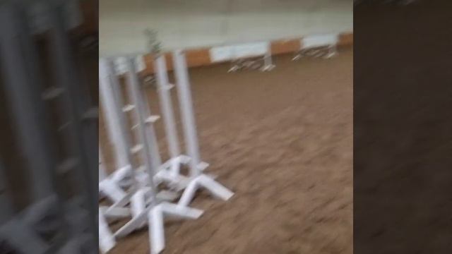 Любимое занятие. Кони#пони#конкур(3) смотреть онлайн