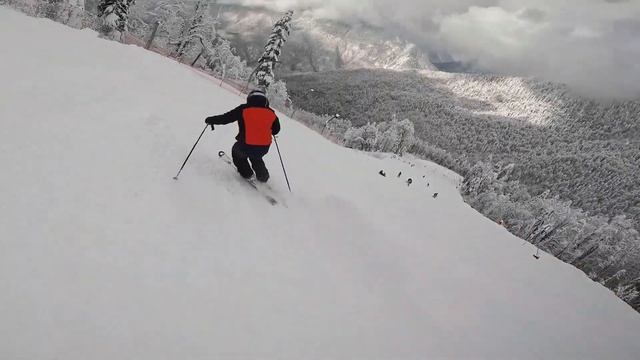 Горные лыжи. Повороты с проскальзыванием и карвинг. Программа обучения. Инструктор по горным лыжам.