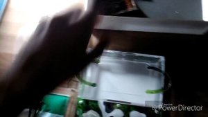Обзор муравьиной фермы мини горный мох