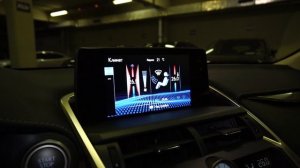 Lexus NX300 2018 2.0T (238 л.с.) 4WD AT Premium - видеообзор
