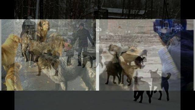 ПСЕВДОДОБРОТА