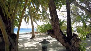 Bandos Maldives Walking Tour: July 2021 | Tropical Island Paradise Exploration