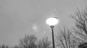 Рома Фандорин - А мы будем ещё...