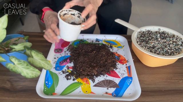 A beginners guide to PON/Semi-hydro🪴💦What is it, How to use it, How does it work, Which plants… смотреть онлайн