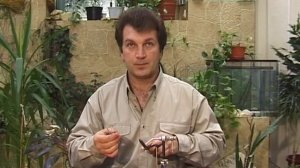 Как сделать финишный узел узловязом или как пользоваться узловязом