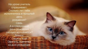 Анекдот про Вовочку#