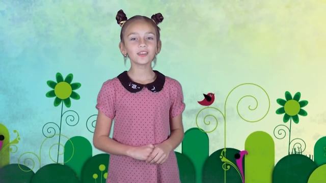 Зоопарк. Коала смотреть онлайн