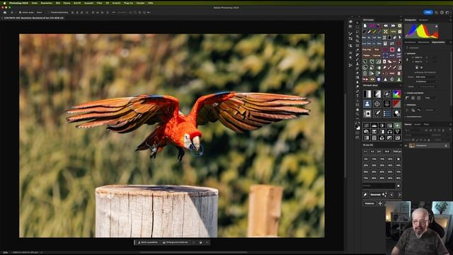 Bildbearbeitung - Photoshop 2024 & TK9 Plugin & TK Gen Fill смотреть онлайн