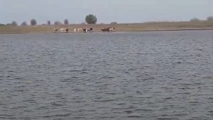 рыбалка на реке кигач.