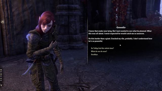 The Elder Scrolls Online Lore : Castle Thorn dungeon quest смотреть онлайн