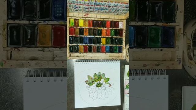 Суккулент в акварели. Ещё его называют молодило или каменной розой. Рисуем