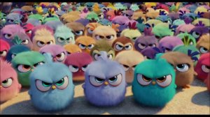 Angry Birds -elokuva I 15” Flock -klippi I Elokuvateattereissa 13.5.2016
