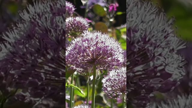 Супер красивое видео! Красивая музыка! Красивая природа. Красивые места! Самые красивые места.Музык смотреть онлайн