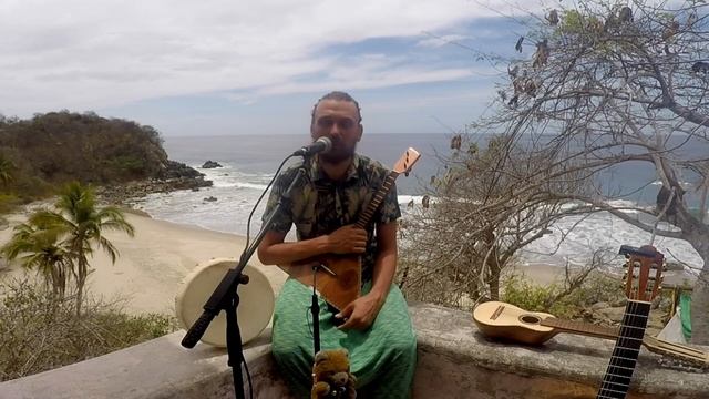 1 ⏐ de Brasil a Mexico ⏐ sin dinero, caminando y de aventón, de mochila ⏐ escuela de viajes смотреть онлайн