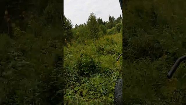 Прокладка ВОЛС в "джунглях" смотреть онлайн