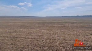 Агролюкс 4.80 по цене двух МТЗ-82, посев подсолнечника зерновой сеялкой Дон 114