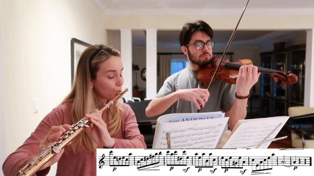 Andersen op. 33 no. 2 arr. for flute & violin | an etude a day смотреть онлайн