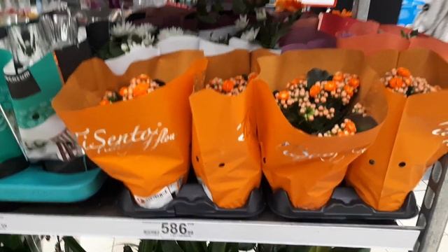 Магазин Ашан 06.03.21 смотреть онлайн