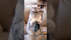 котята вязаные 🧶