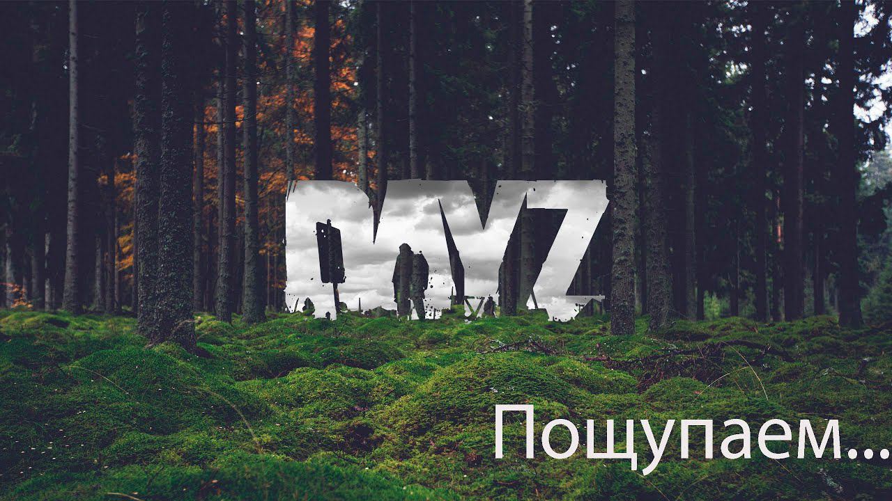 DayZ. #1. Пощупаем...