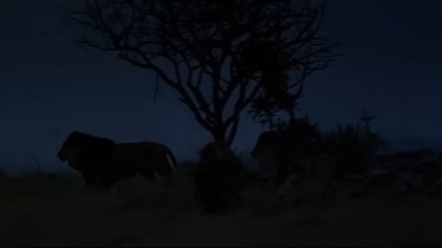 Почему мы тянемся к ужасам смотреть онлайн