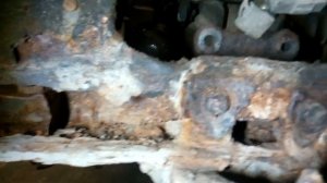 Восстановление крокозябры (Нива 5Д) день 2