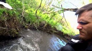 ОТШЕЛЬНИКИ В ЛЕСУ