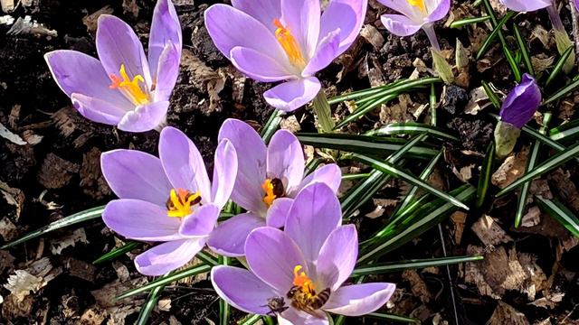 9 марта 2020/ Вышла из дома и ОБОМЛЕЛА!/ Белгород смотреть онлайн