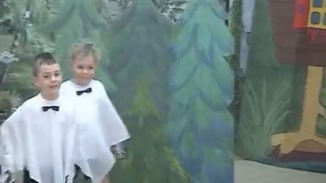 Гуси лебеди