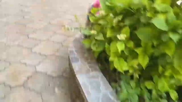 ?День глазами басиков? Новые басики?! Новые приключения?! В͜͡с͜͡т͜͡р͜͡е͜͡ч͜͡а͜͡// Basikitten & Co смотреть онлайн