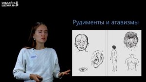 Систематическое положение человека. Видеоурок 2. Биология 8 класс