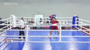 Шесть дагестанских спортсменов вышли в полуфинал Всероссийского мастерского турнира по боксу