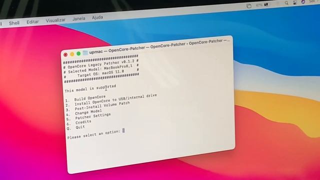 Atualizando macOS Big Sur em Macs não suportados | Updating Big Sur on unsupported Macs 2008 - 2011 смотреть онлайн