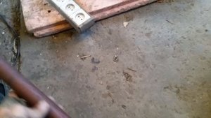 ниссан ноте шкив коленвала,натяжка ремня генератора,болт коленвала