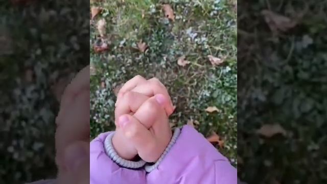 259086535_947858239182786_8124599220035529440_n