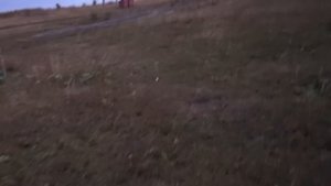 Я ПОКОНЧИЛ С СУМАСШЕДШЕЙ БАБКОЙ И ВЫБРАЛСЯ ИЗ ЖУТКОГО ДОМА, НО ПОПАЛ В ЛОВУШКУ