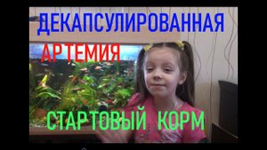 Декапсулированная артемия. Стартовый корм для мальков. Как подготовить для кормления рыбок.