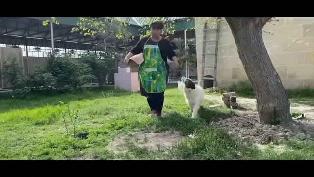 We Cooked BIG FISH in the Wood Stove! Village Life смотреть онлайн