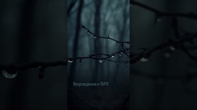 История ТАРО. Эпоха Возрождения. 4 часть