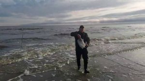 Рыбалка сетями на баренцевом море 🌊 часть # 4