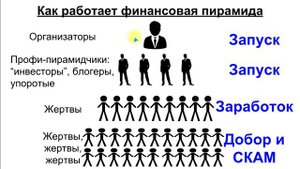 Финансовые пирамиды: Как работают, как распознать скам, кто самый опасный в пирамиде