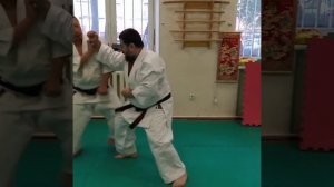 Seisan (セーサン) 十三 Shito ryu / bunkai application / the principle of protection for kumite sparring