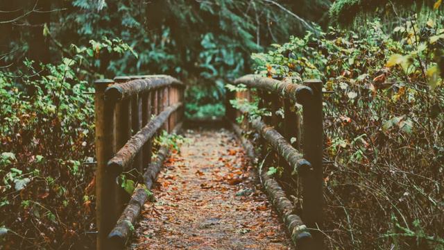 Мелодии Для ДУШИ.Relax, Музыка для сна... смотреть онлайн