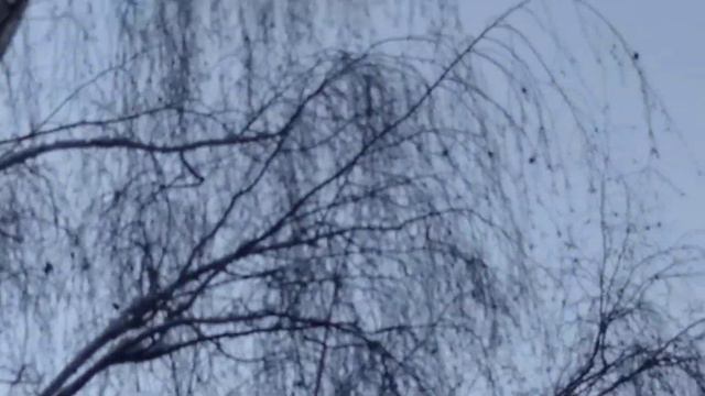 как обещал добрый волшебник вы видите солнце и голубое небо с луной. 15 декабря