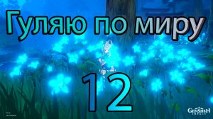 Гуляю по миру 12 (Genshin Impact)